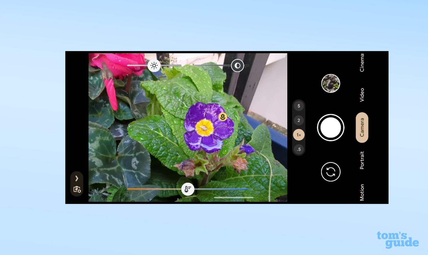 Google Pixel 7 Pro 的這項功能可讓您拍攝極端特寫——使用方法如下