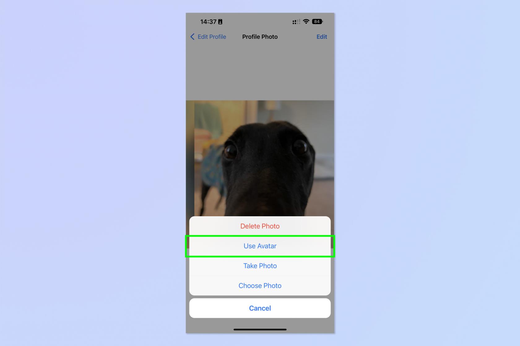 您現在可以創建 WhatsApp 頭像 - 操作方法如下