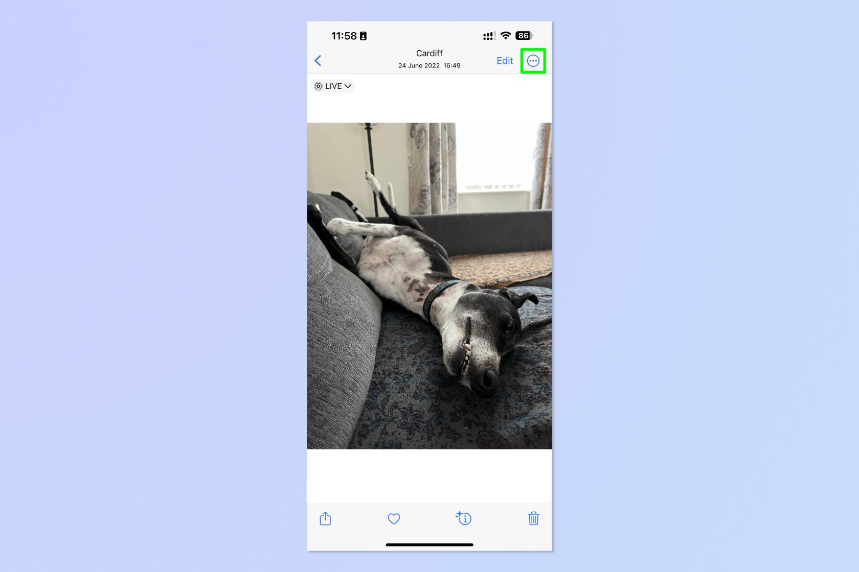 如何在 iPhone 和 iPad 上將 Live Photo 轉為視頻