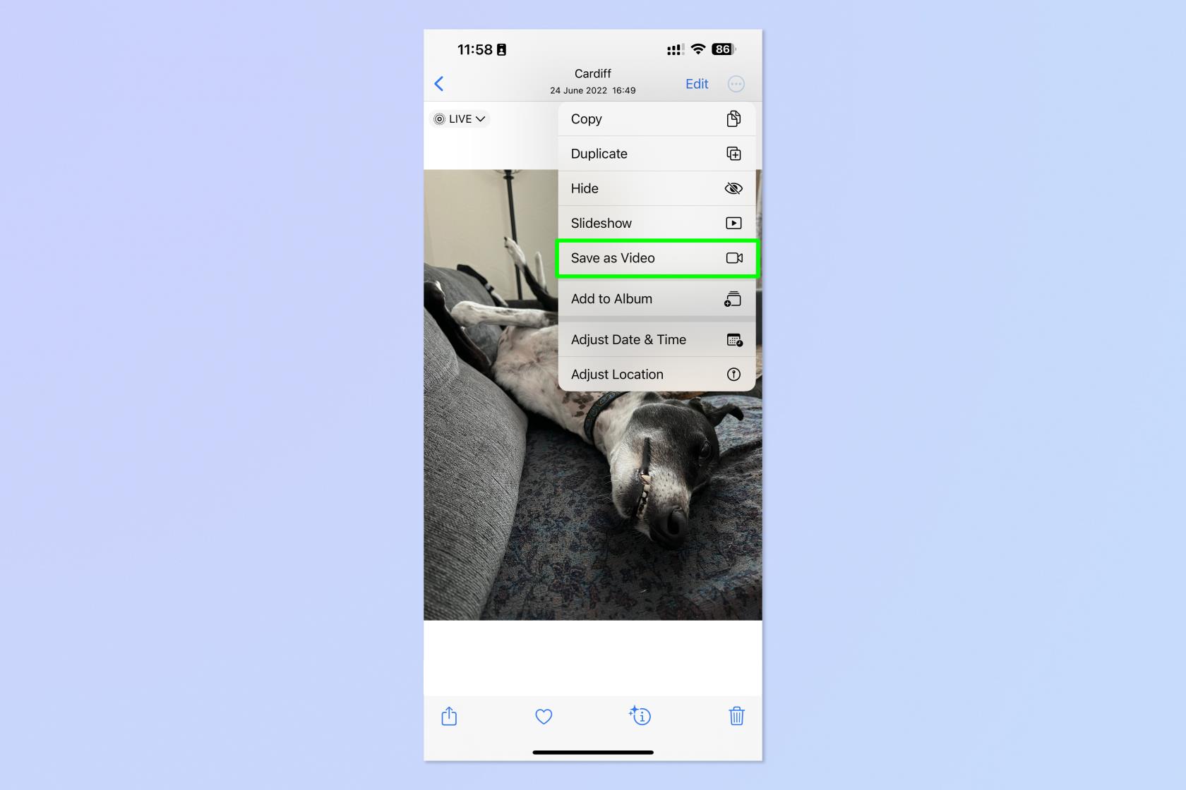 如何在 iPhone 和 iPad 上將 Live Photo 轉為視頻
