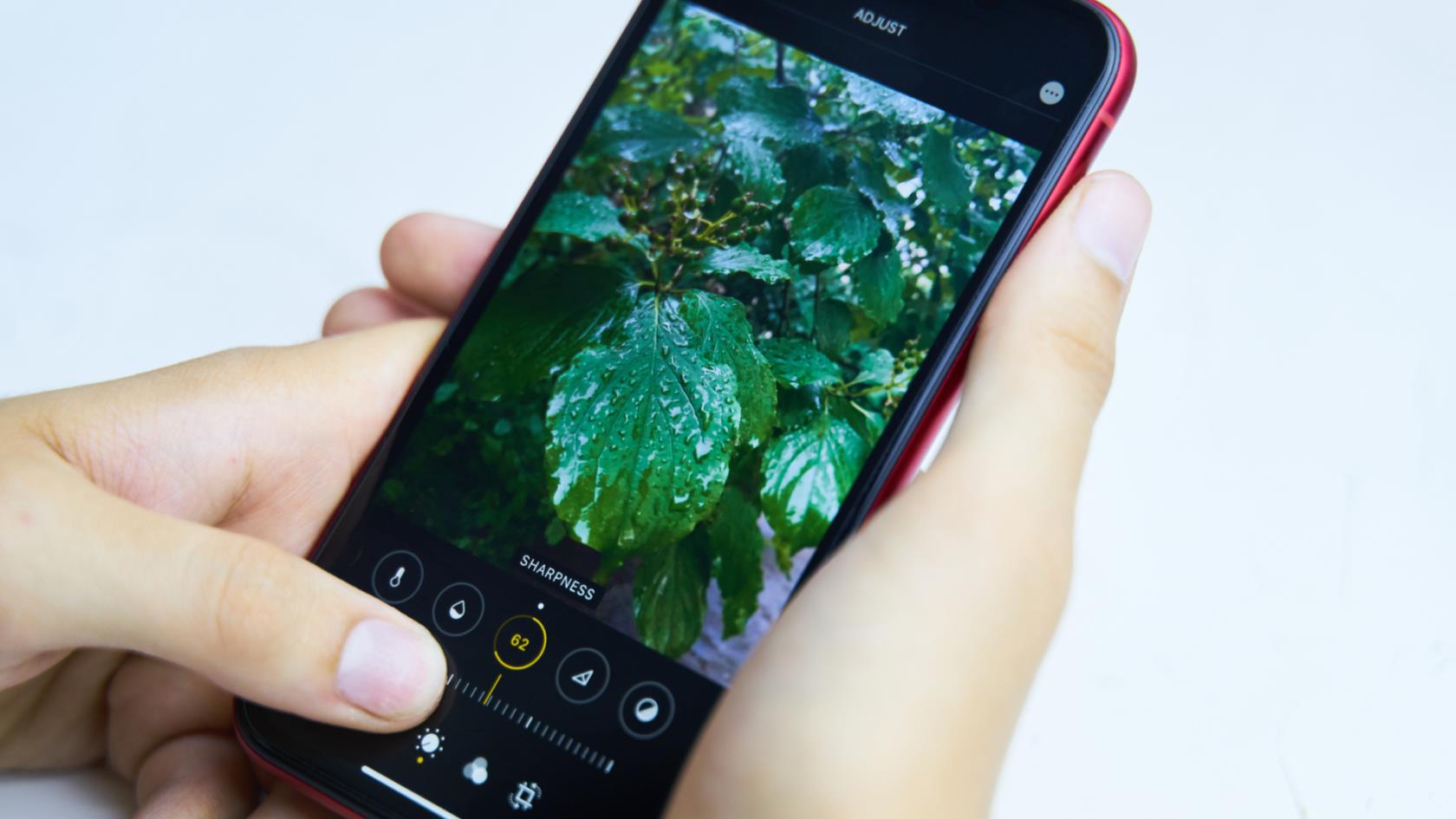 iOS 16 功能——以下是如何使用 iPhone 的所有新功能