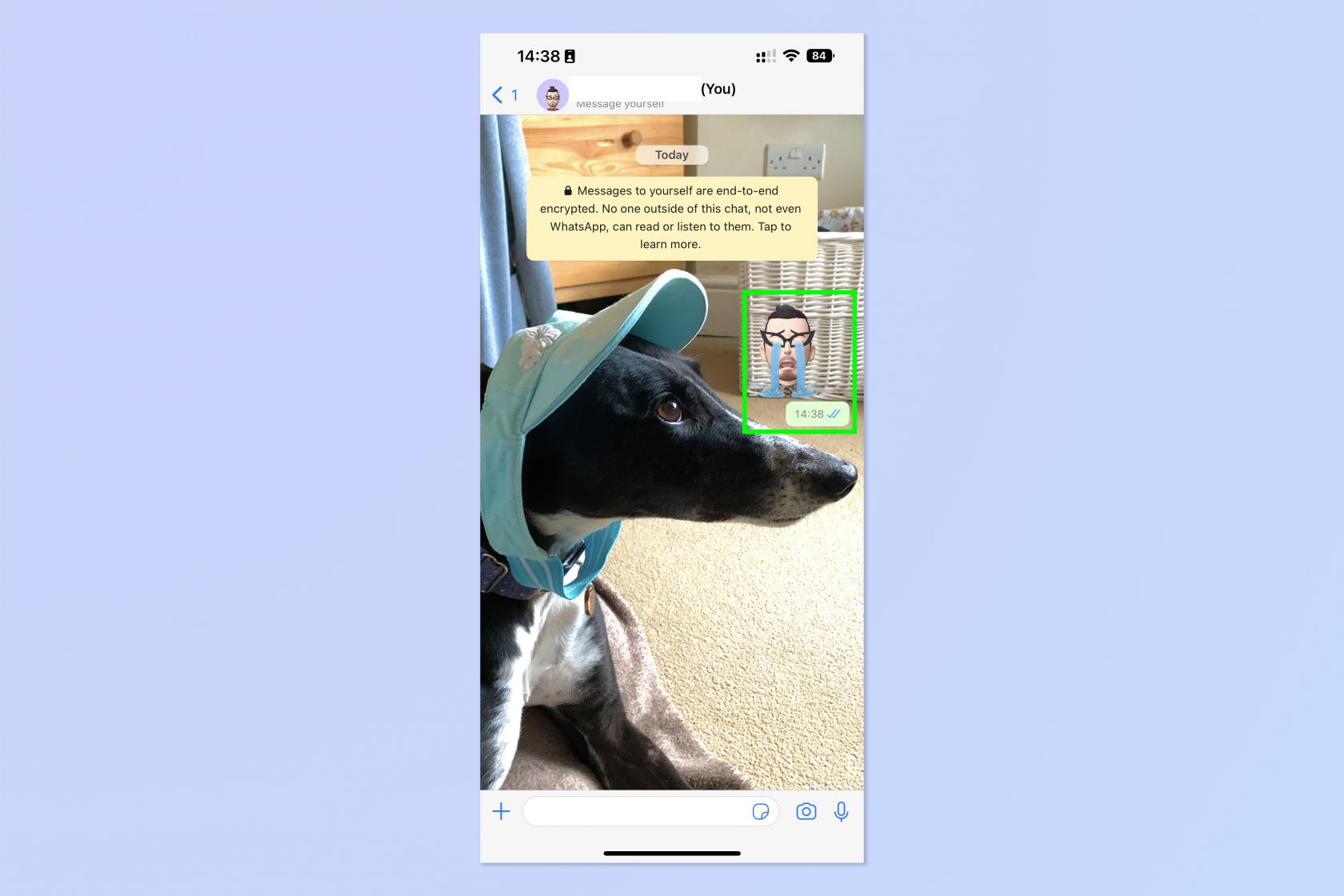 您現在可以創建 WhatsApp 頭像 - 操作方法如下