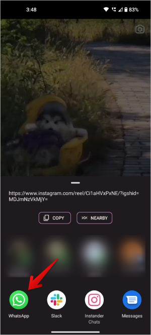 如何在 WhatsApp 聊天、群組和狀態上分享 Instagram Reels