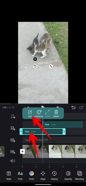 如何在不同時間為 Instagram Reels 新增文本