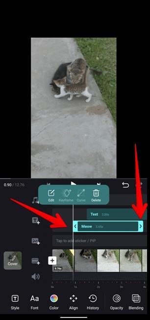 如何在不同時間為 Instagram Reels 新增文本