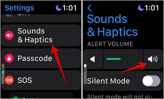 修復 Apple Watch 不振動的 13 種方法