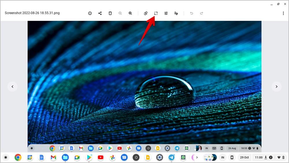 如何在 Chromebook 上編輯圖片或螢幕截圖