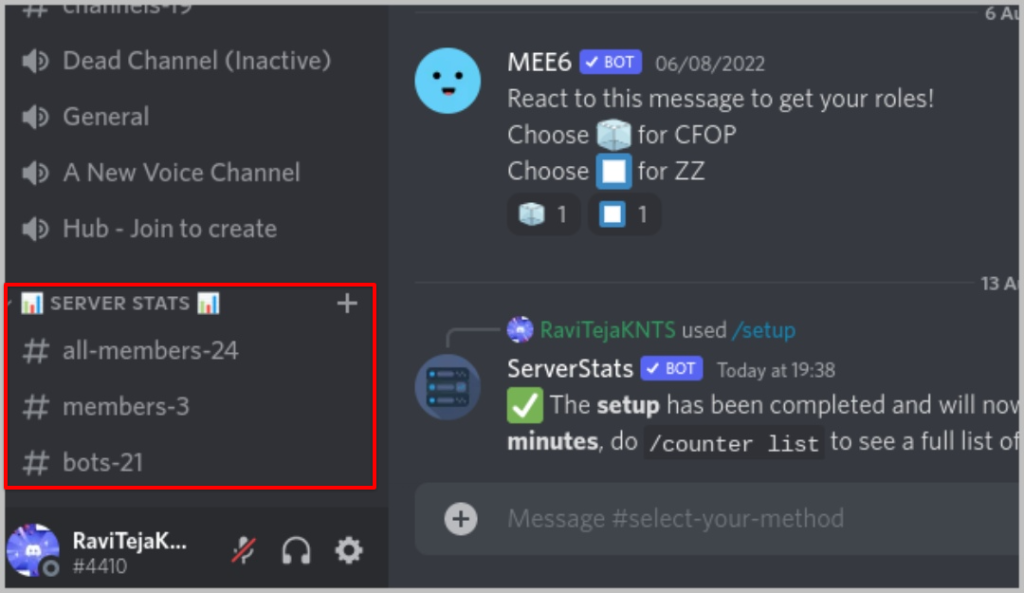 如何檢查您的 Discord 個人資料和伺服器統計信息