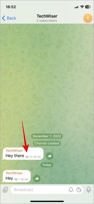 Telegram 圖示和符號及其意義