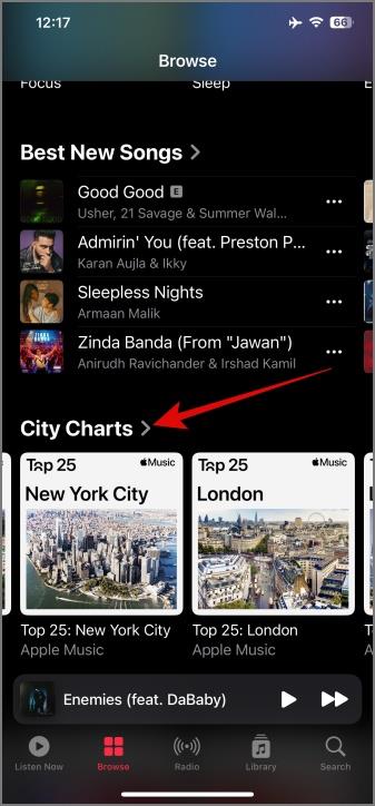Apple Music 上的圖標和符號意味著什麼