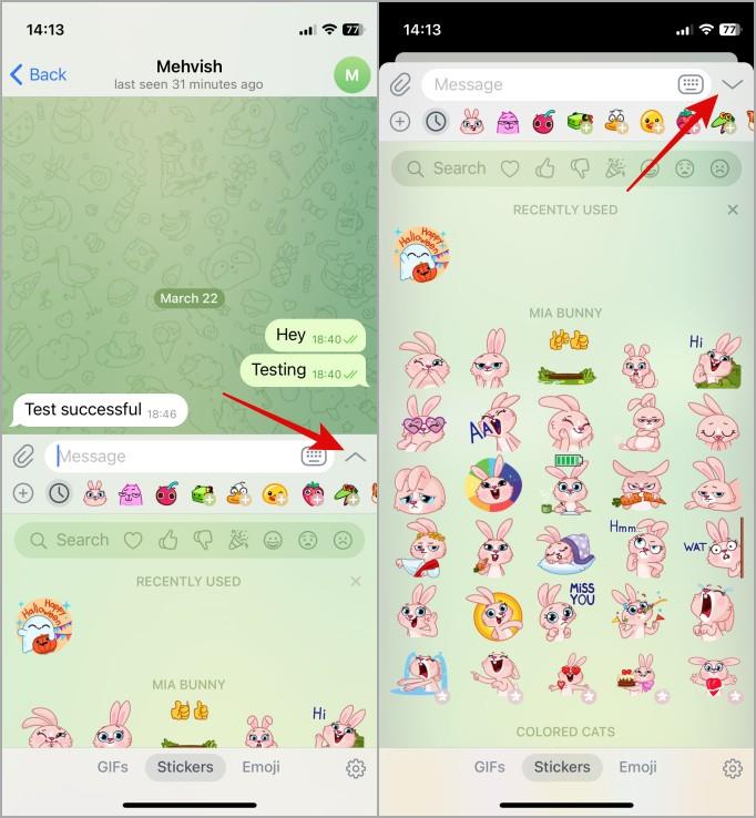 Telegram 圖示和符號及其意義