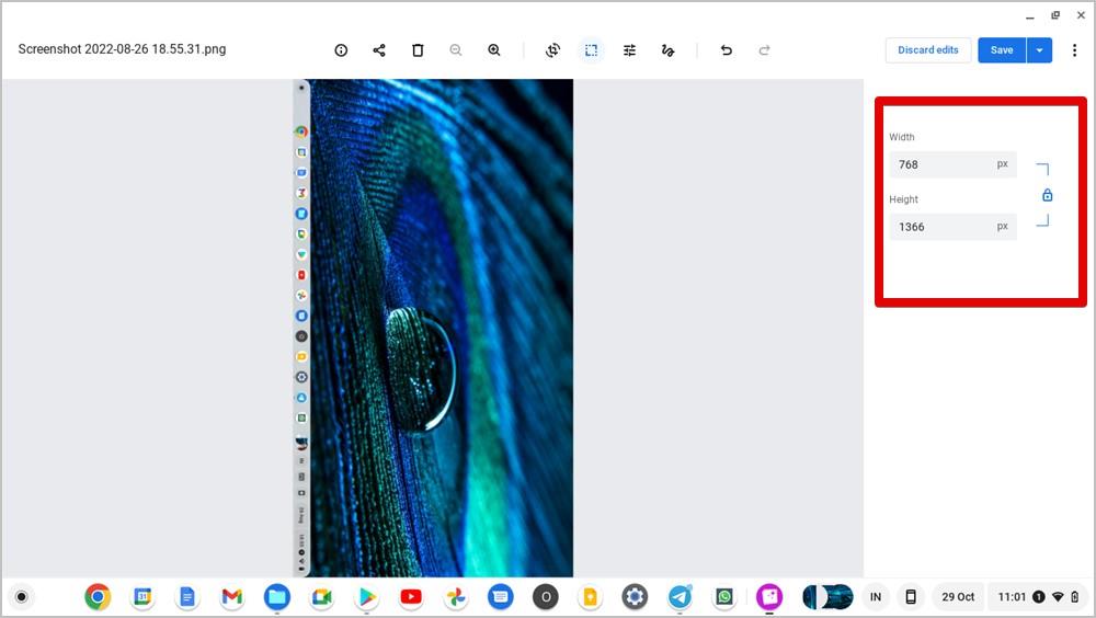 如何在 Chromebook 上編輯圖片或螢幕截圖