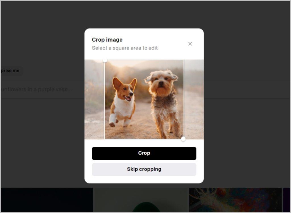 如何從 Telegram 下載多張照片或視頻