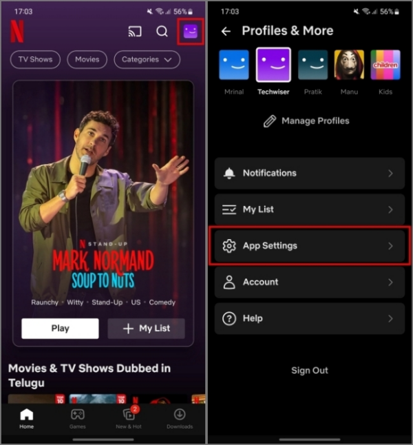 Netflix 螢幕模糊問題的 7 個修復