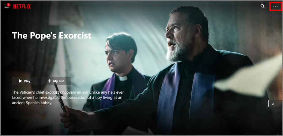Netflix 螢幕模糊問題的 7 個修復