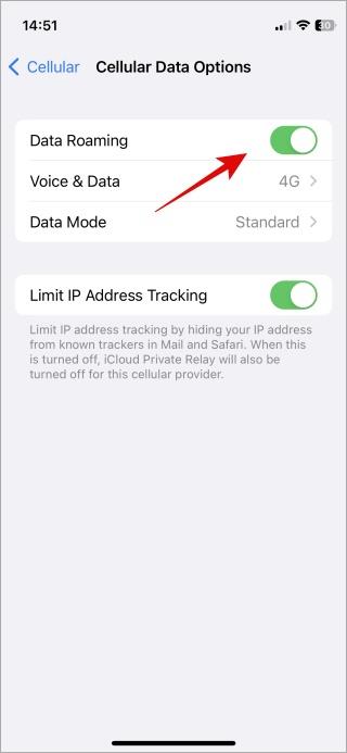 iPhone 上沒有服務意味著什麼以及如何修復它