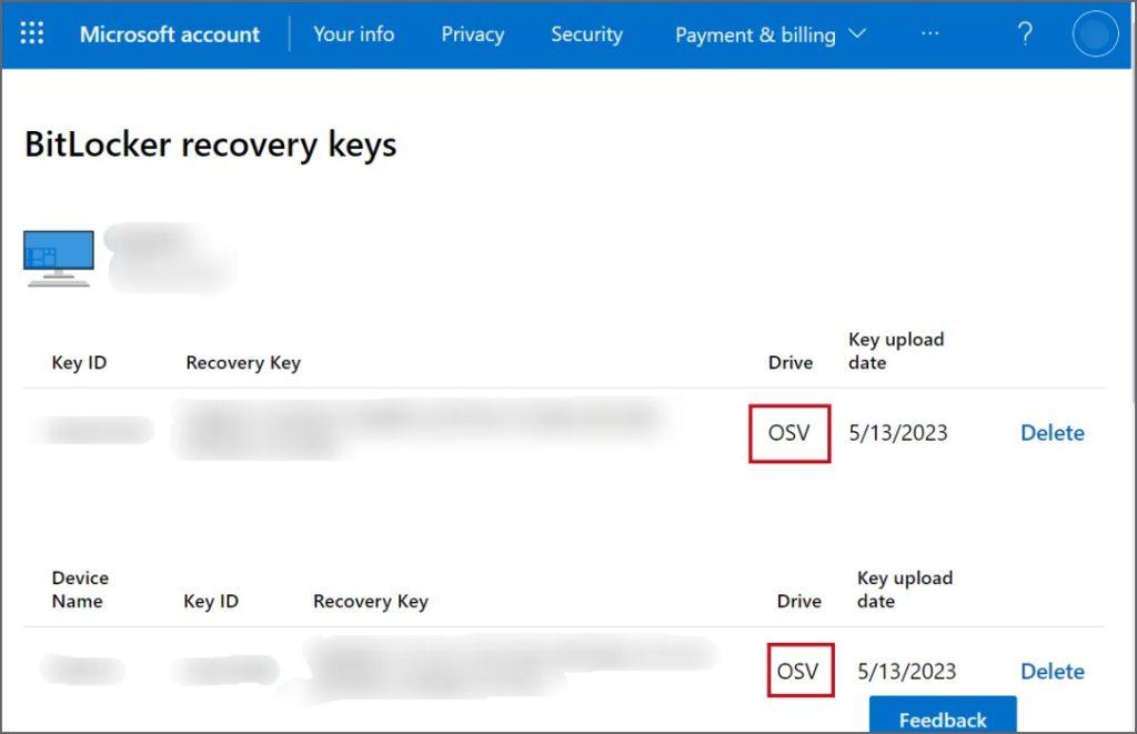 如何在 Windows 11 上尋找 BitLocker 復原金鑰