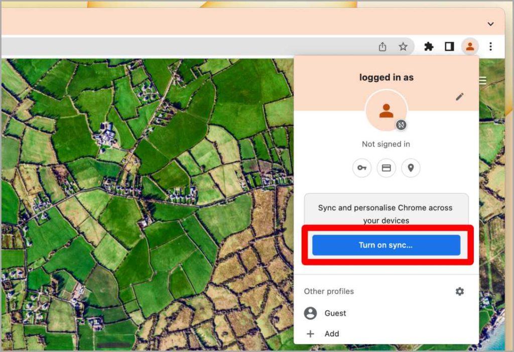 如何在 Chrome 瀏覽器上登入和登出 Google 帳戶