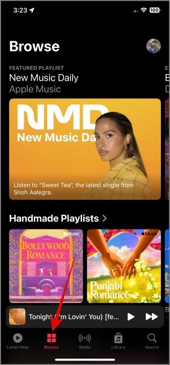 Apple Music 上的圖標和符號意味著什麼